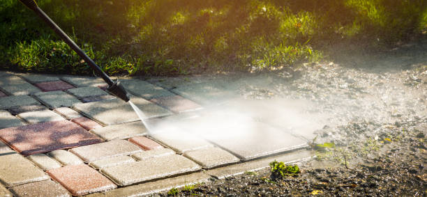 Animal Enclosure Cleaning in Southern Gateway, VA
